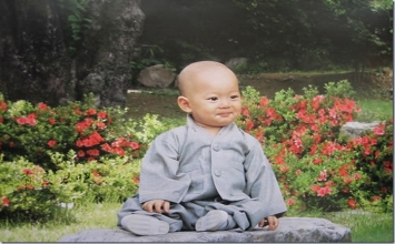 Sa Di giữ tiền